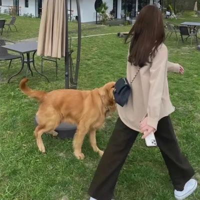 悄然之星
